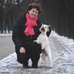 щенки белого цвергшнауцера в Минске