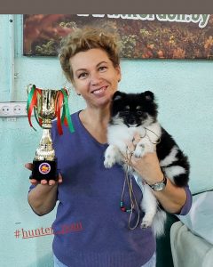 щенки померанского шпица фото