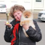 купить щенка шпица в Минске